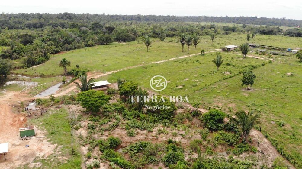 Sítio, 100 hectares - Foto 8