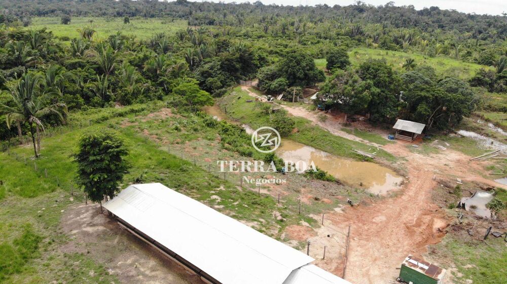 Sítio, 100 hectares - Foto 6