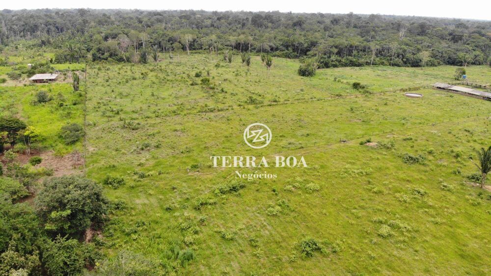 Sítio, 100 hectares - Foto 4