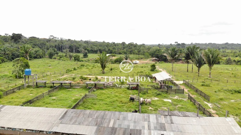 Sítio, 100 hectares - Foto 11