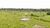 Sítio, 100 hectares - Foto 3