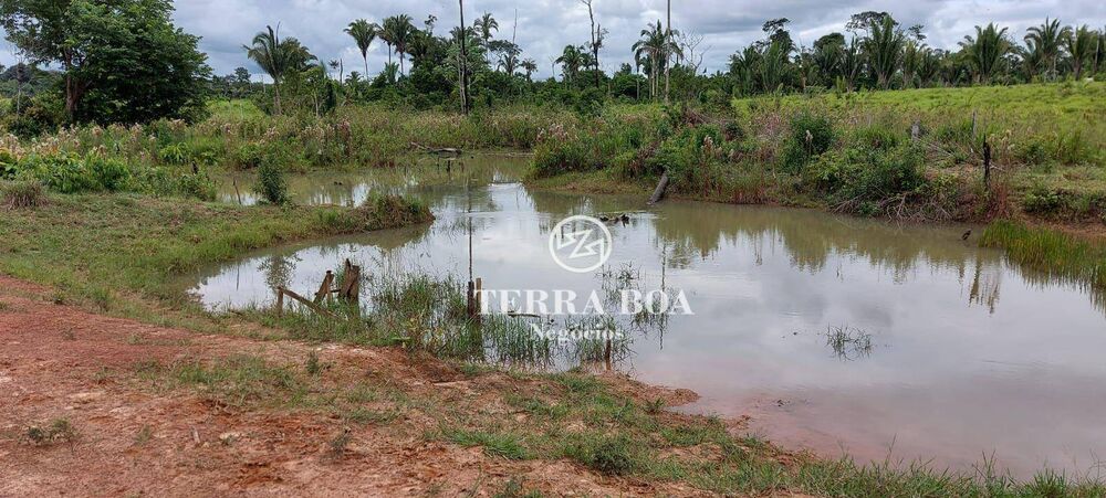 Sítio, 80 hectares - Foto 8