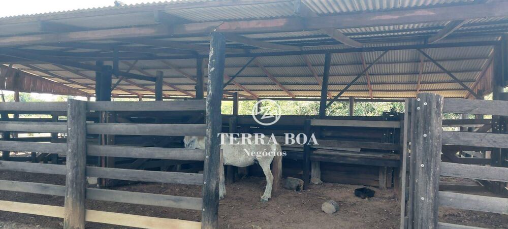 Sítio, 80 hectares - Foto 7