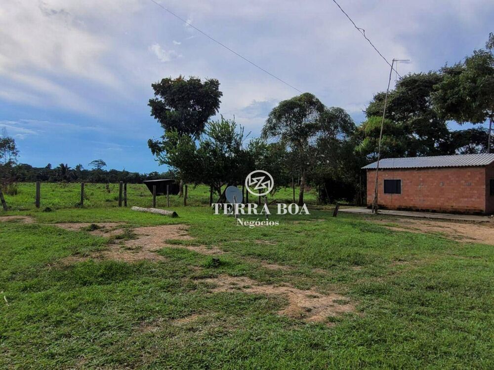 Sítio, 80 hectares - Foto 4