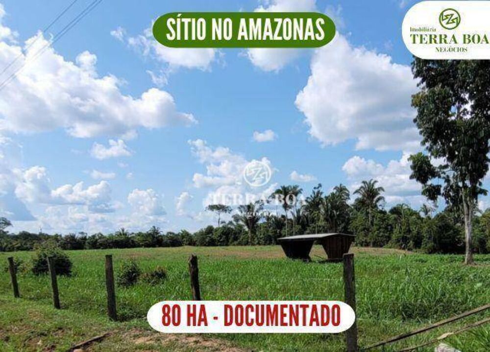 Sítio, 80 hectares - Foto 1