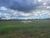 Sítio, 80 hectares - Foto 3