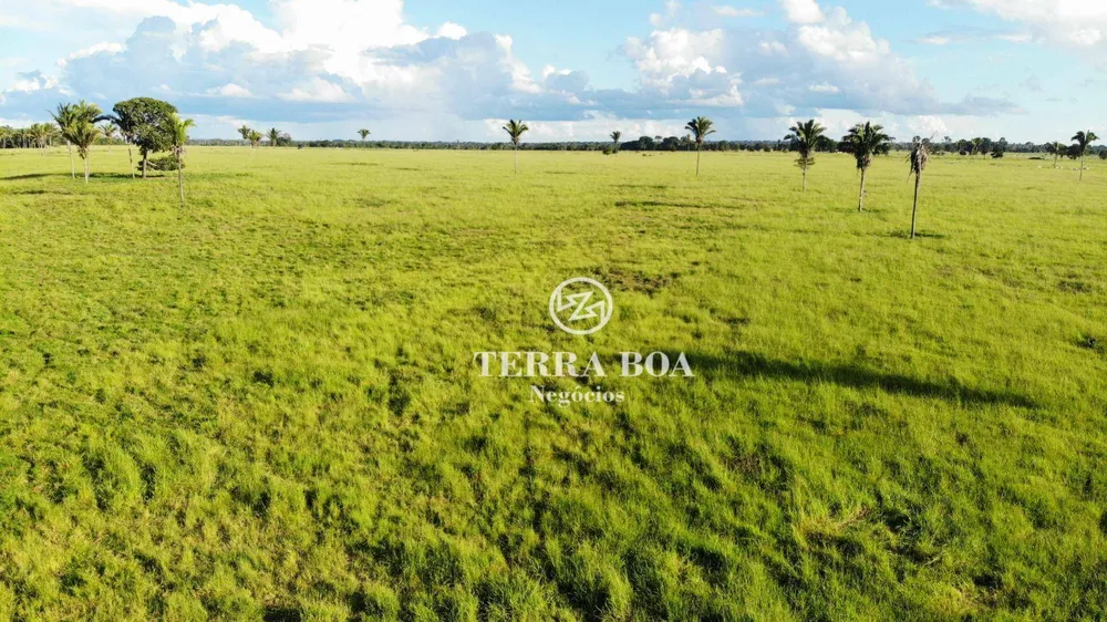Fazenda, 1600 hectares - Foto 13