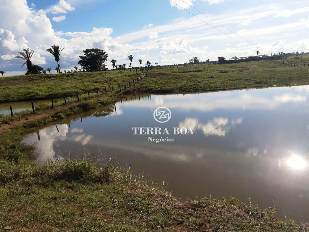 Fazenda, 1600 hectares - Foto 24