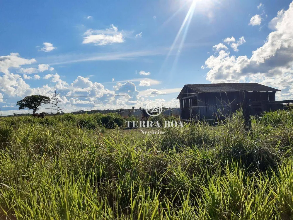 Fazenda, 1600 hectares - Foto 19