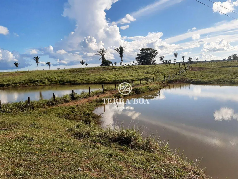 Fazenda, 1600 hectares - Foto 25