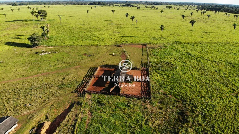 Fazenda, 1600 hectares - Foto 10