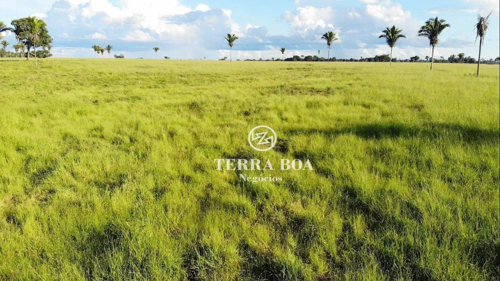 Fazenda, 1600 hectares - Foto 28