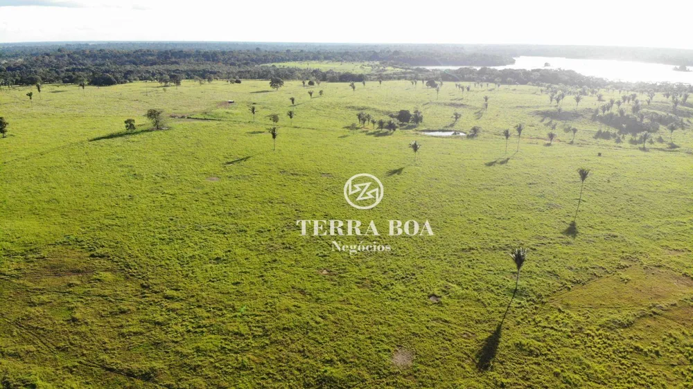 Fazenda, 1600 hectares - Foto 9