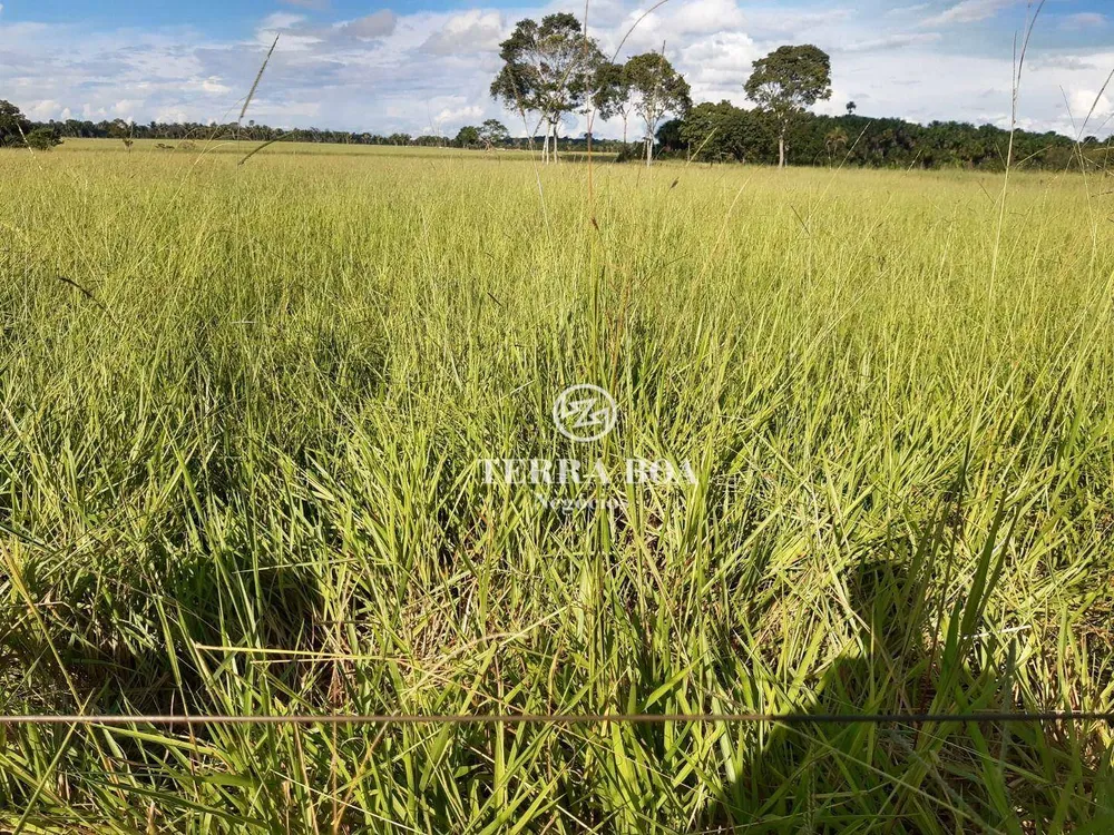 Fazenda, 1600 hectares - Foto 17