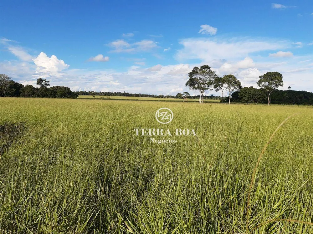 Fazenda, 1600 hectares - Foto 16