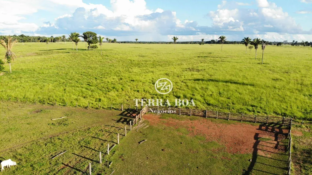 Fazenda, 1600 hectares - Foto 12