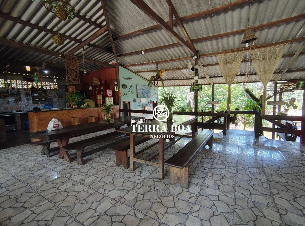 Sítio, 55 hectares - Foto 10