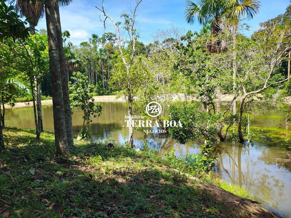 Sítio, 55 hectares - Foto 4