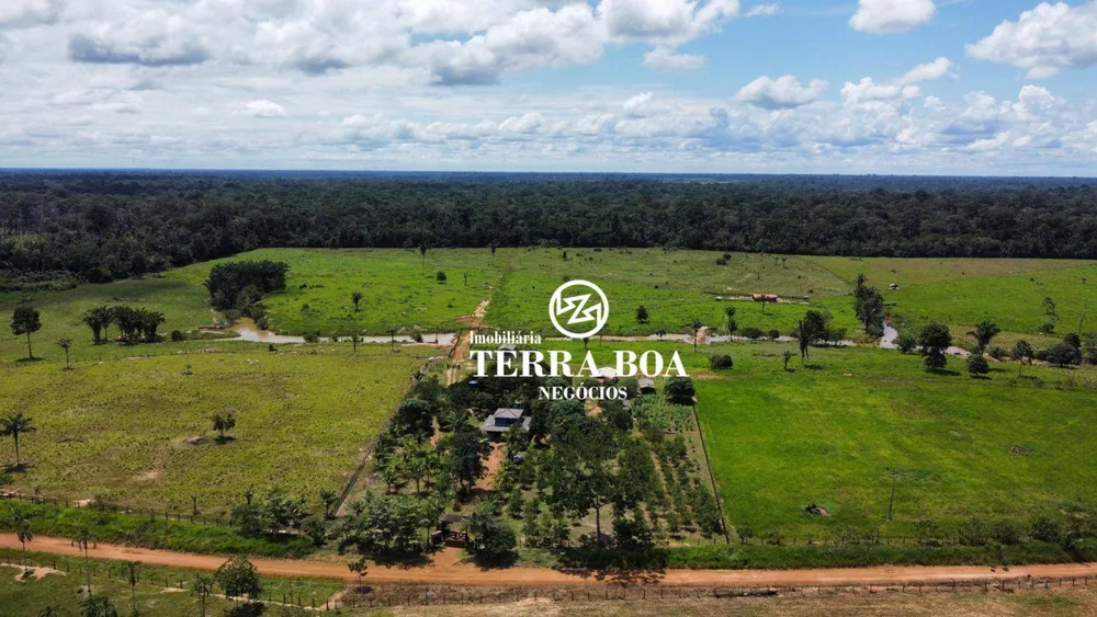 Fazenda, 200 hectares - Foto 9