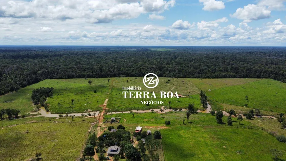 Fazenda, 200 hectares - Foto 7