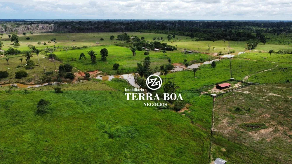 Fazenda, 200 hectares - Foto 2