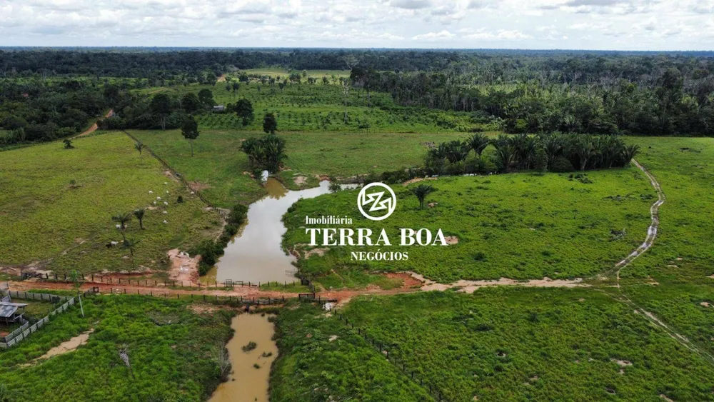 Fazenda, 200 hectares - Foto 3