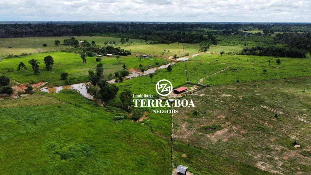 Fazenda, 200 hectares - Foto 12