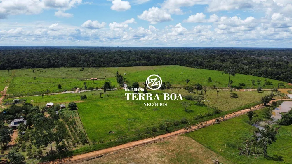 Fazenda, 200 hectares - Foto 6
