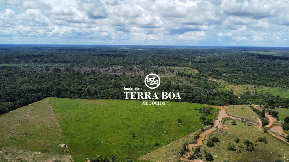 Fazenda, 200 hectares - Foto 8