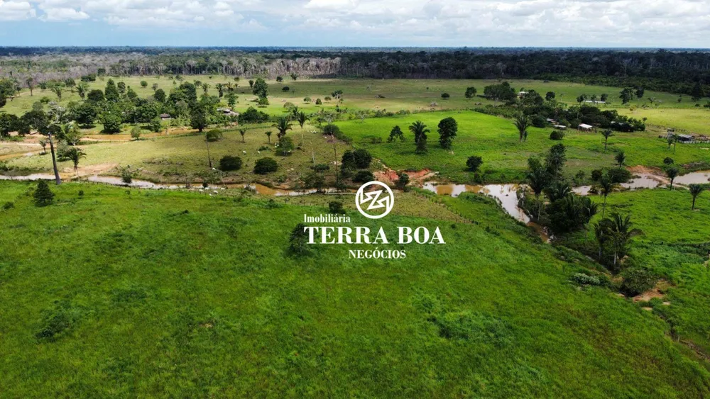 Fazenda, 200 hectares - Foto 10