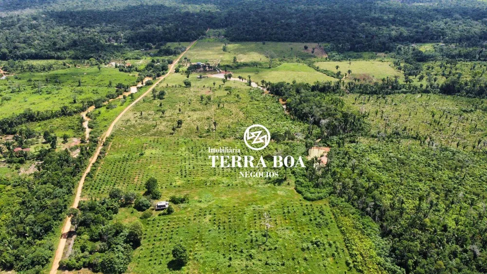 Fazenda, 200 hectares - Foto 5