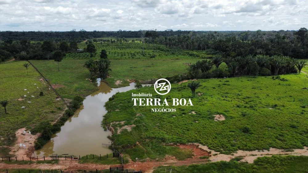 Fazenda, 200 hectares - Foto 1