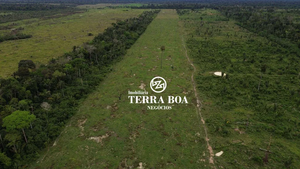 Sítio, 27 hectares - Foto 11