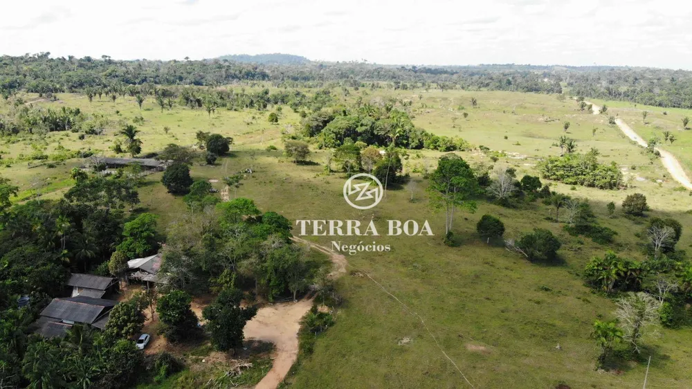 Fazenda, 203 hectares - Foto 3