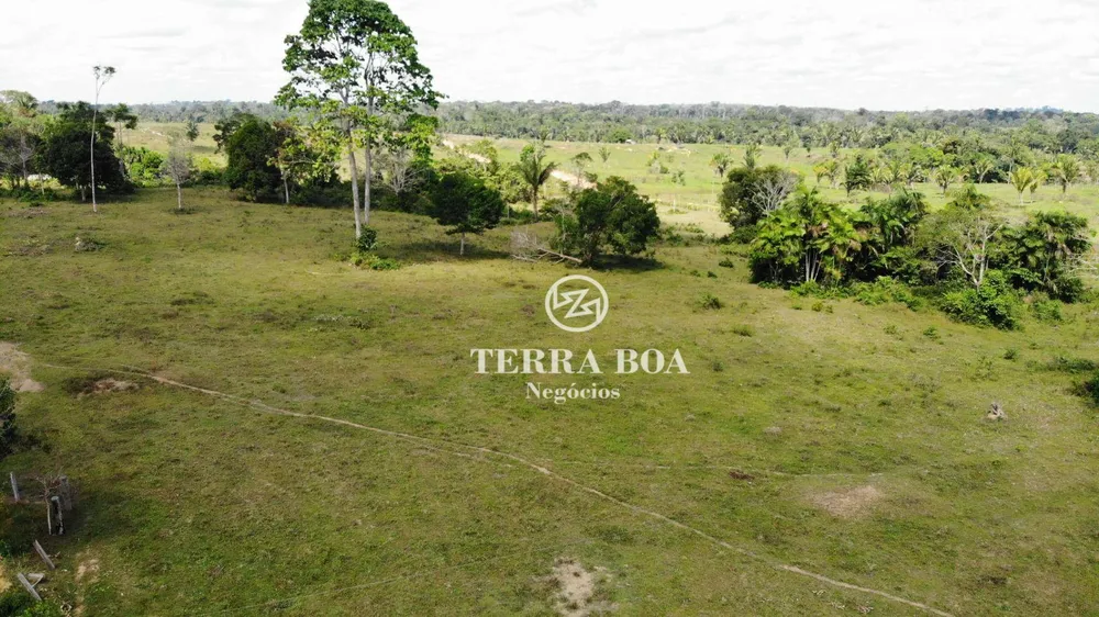 Fazenda, 203 hectares - Foto 2