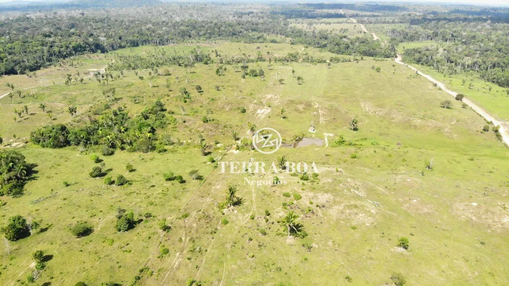 Fazenda, 203 hectares - Foto 4