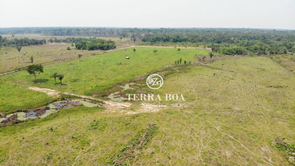 Sítio, 64 hectares - Foto 7