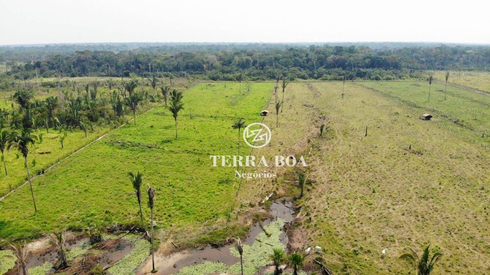 Sítio, 64 hectares - Foto 6