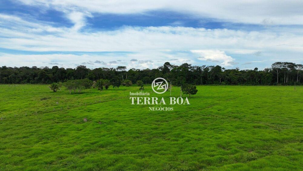 Fazenda, 968 hectares - Foto 4