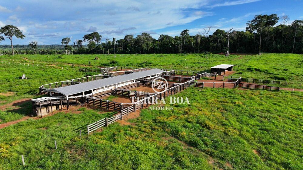 Fazenda, 968 hectares - Foto 2