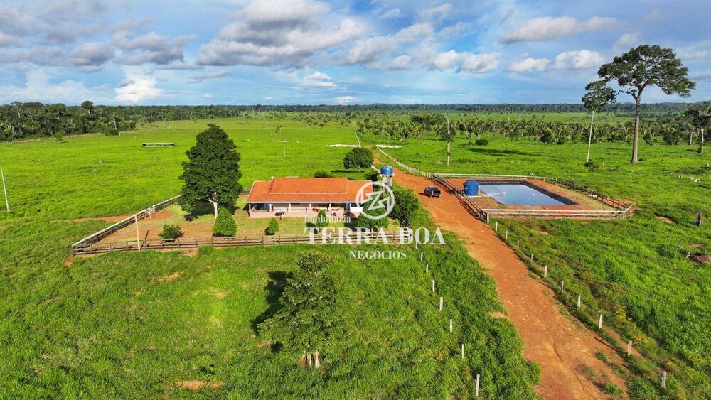 Fazenda, 968 hectares - Foto 3