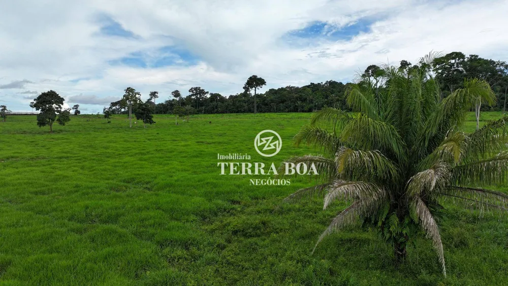 Fazenda, 968 hectares - Foto 7