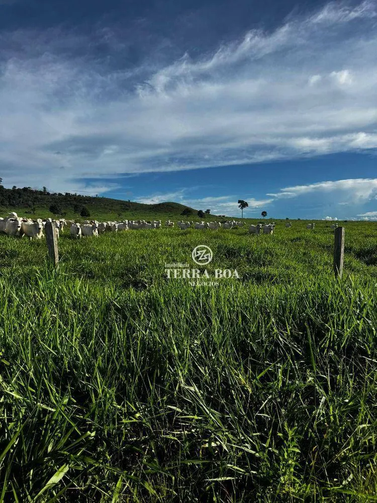 Fazenda, 968 hectares - Foto 11