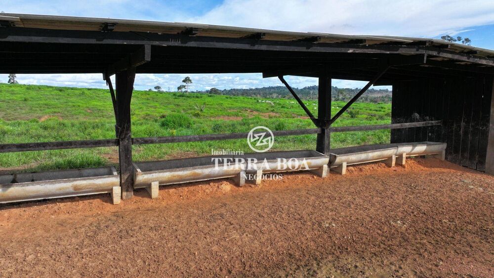 Fazenda, 968 hectares - Foto 5