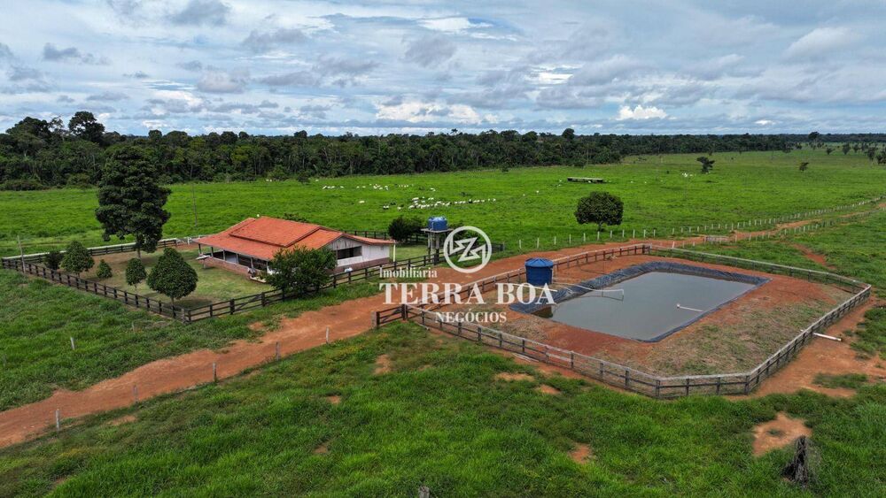 Fazenda, 968 hectares - Foto 7