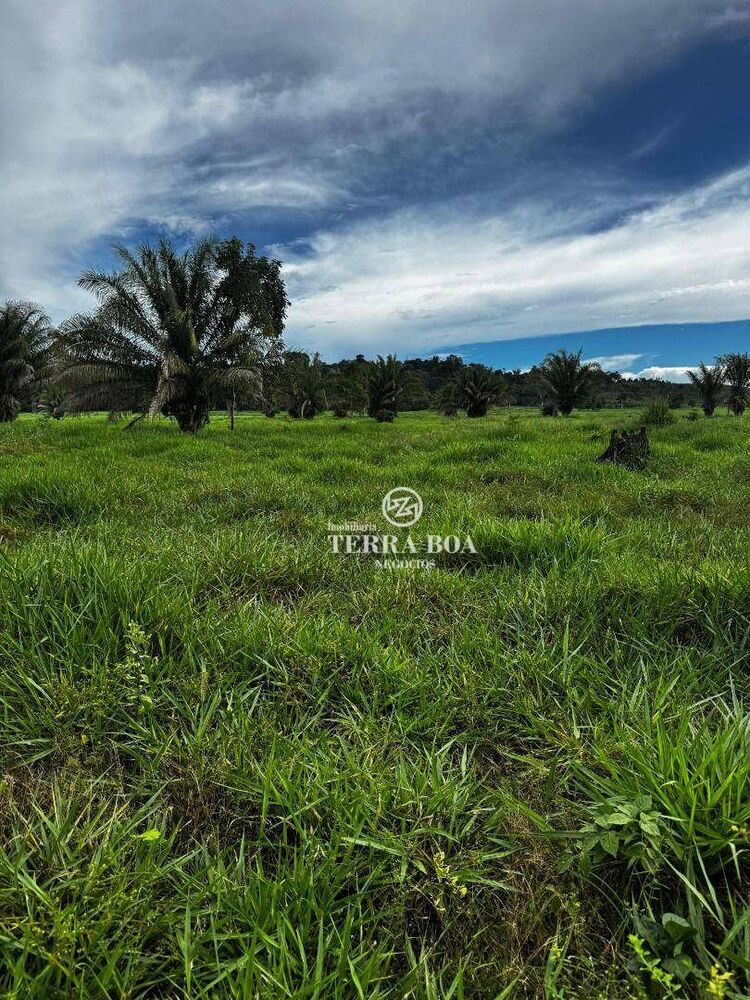 Fazenda, 968 hectares - Foto 8