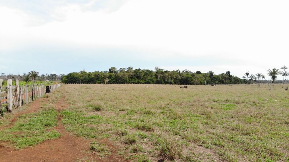 Fazenda-Sítio-Chácara, 484 hectares - Foto 8