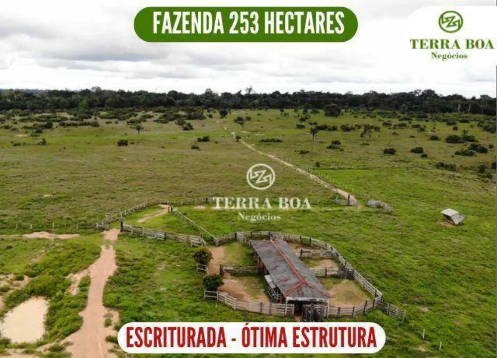 Fazenda, 253 hectares - Foto 1