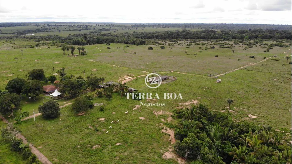 Fazenda, 253 hectares - Foto 10
