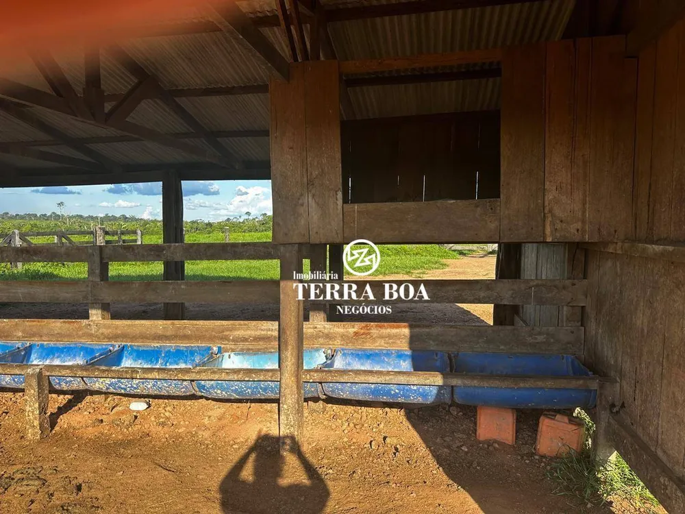 Fazenda, 968 hectares - Foto 4